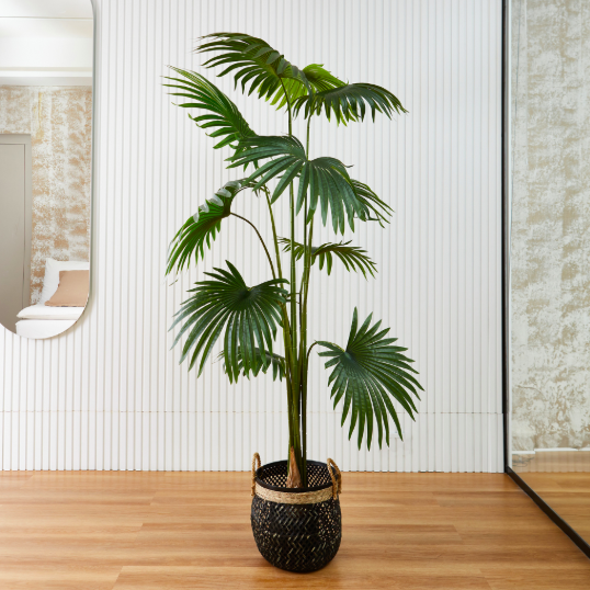 Cattail Tree 2,2 M